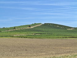 Petersberg IMG_1681.jpg Vorschau: 249x187