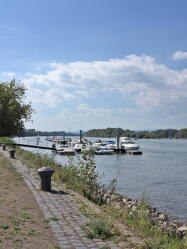 Rhein bei Heidesheim IMG_1703.jpg Vorschau: 187x250