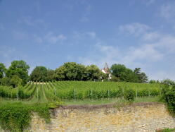 Bergkirche Osthofen IMG_1236.jpg Vorschau: 249x187