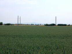 Rheinterrassen-Radweg vor Alsheim IMG_1242.jpg Vorschau: 249x187