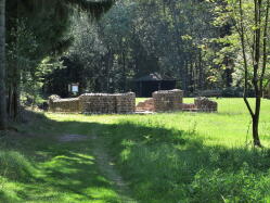 Römerkastel Würzberg IMG_0614.jpg Vorschau: 249x187